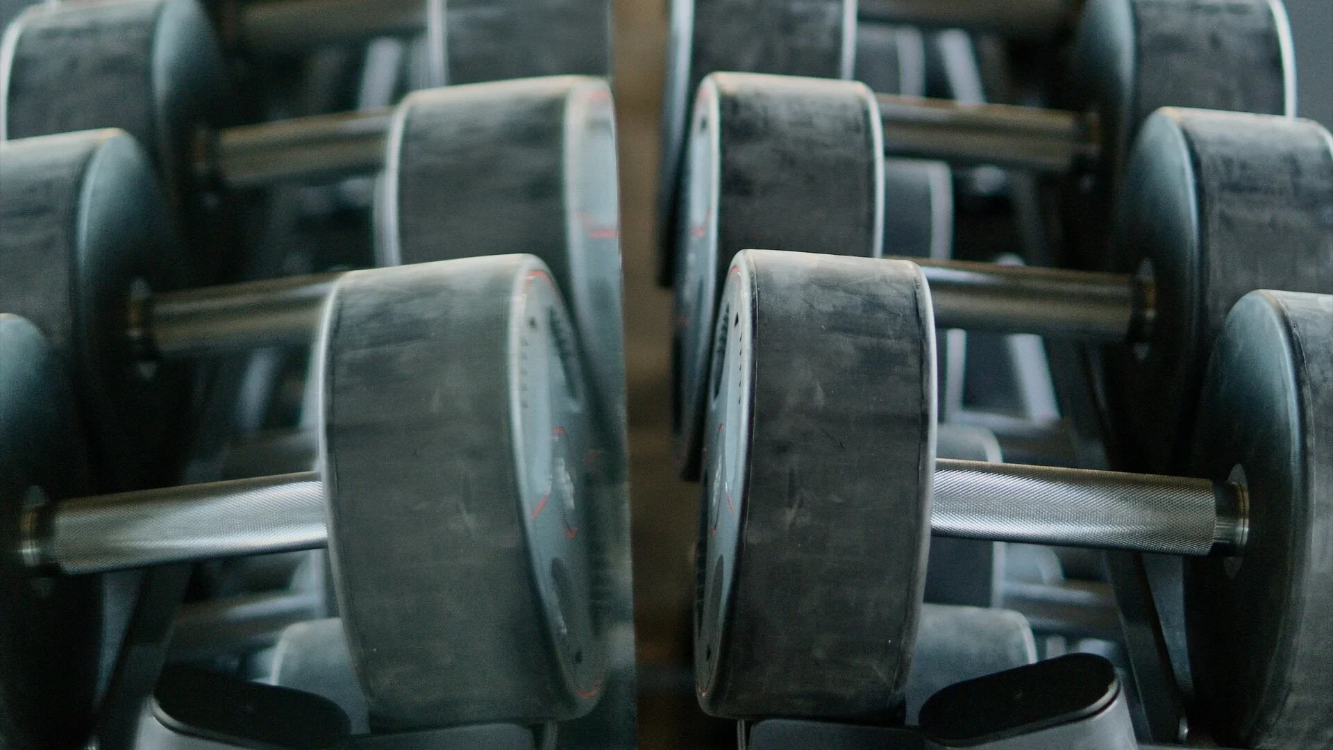 Squat Variation Guide: Choosing the Right Squat for Your Body and Goals